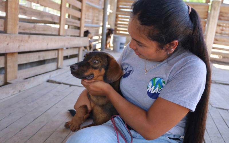 Su bienestar, nuestra prioridad: Conozca las funciones principales de la Unidad de Bienestar Animal
