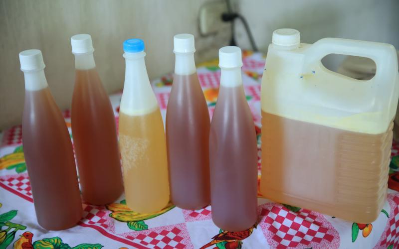 Conozca por qué la miel es beneficiosa para la salud