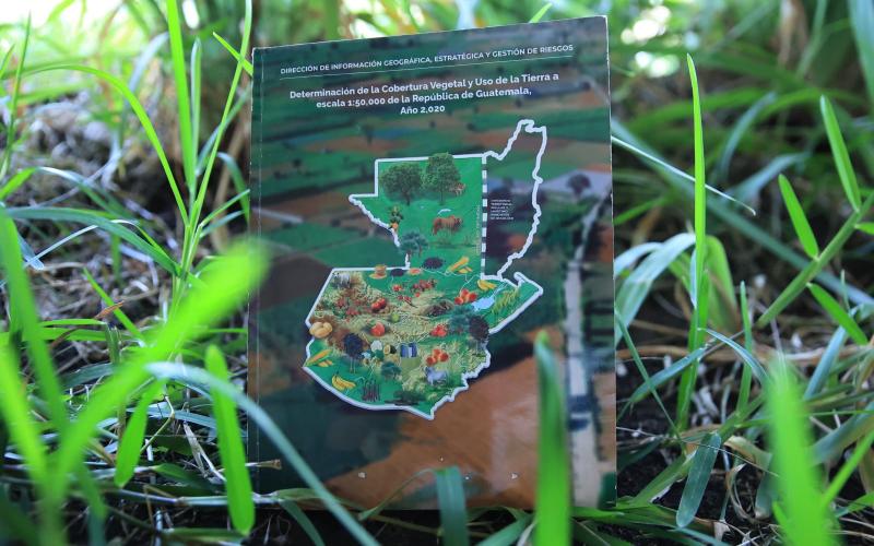 Conozca qué es un mapa de cobertura vegetal