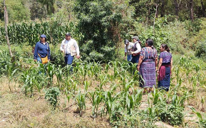 Conozca que son los CADER