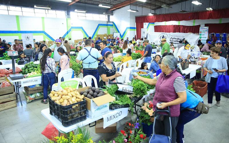 Consumidores acuden a Feria del Agricultor en Mixco