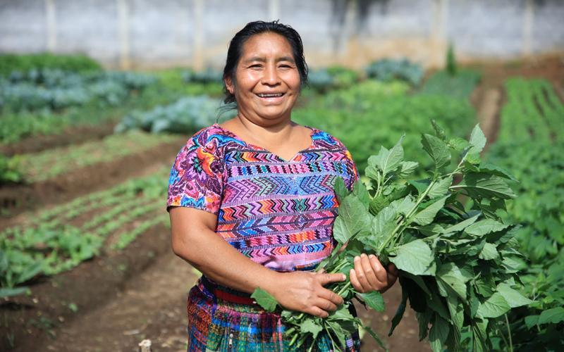 El bledo no es una maleza sino una fuente de fibra, proteínas y vitaminas