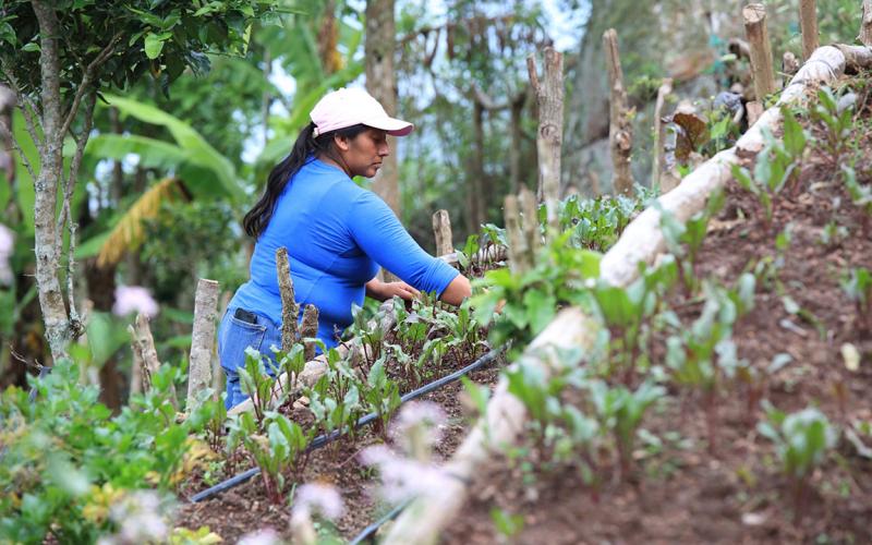 El buen uso de la tierra maximiza la productividad