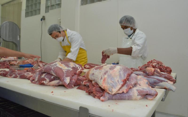 El consumo de carne es seguro, gusano barrenador no representa riesgo