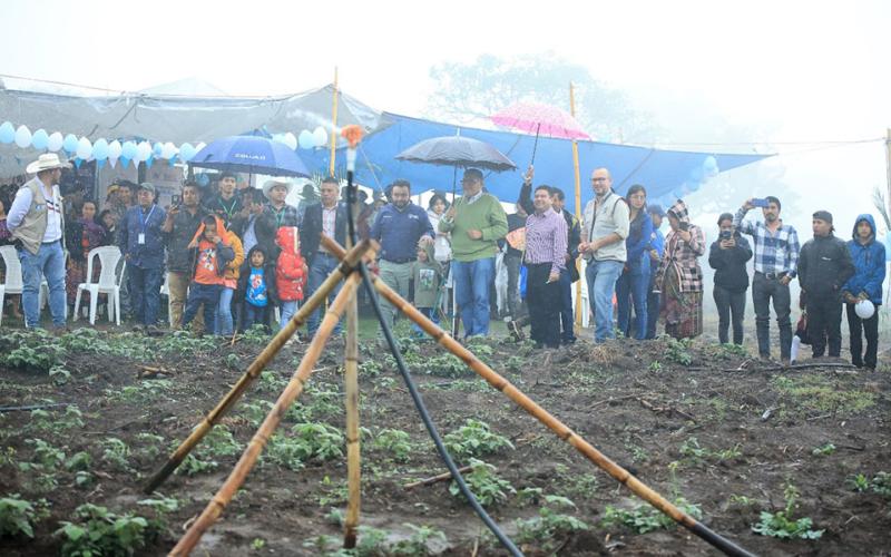 El desarrollo agrícola recibe un impulso con la irrigación de más 800 hectáreas
