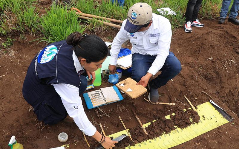 El estudio de suelos