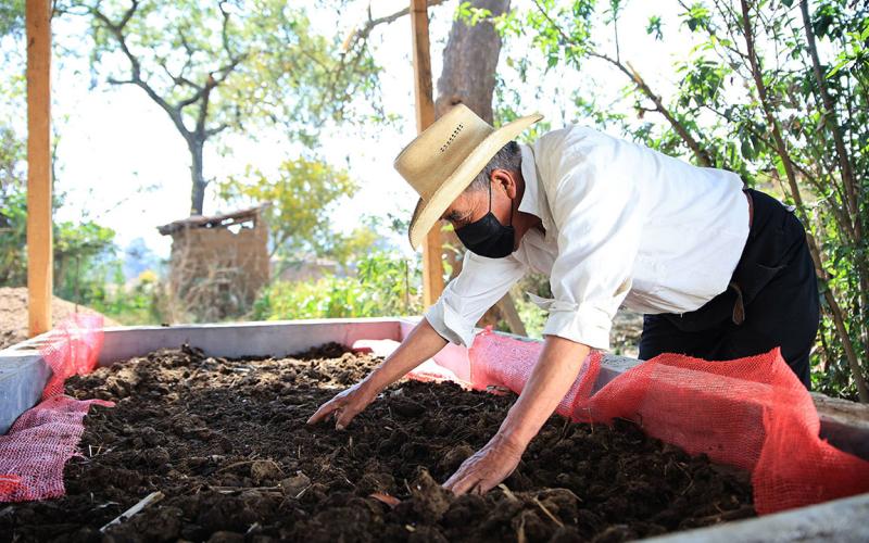 El lombricompost
