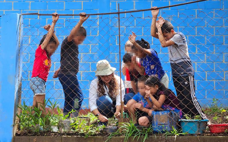 Entregan y siembran pilones de hortalizas para huertos escolares