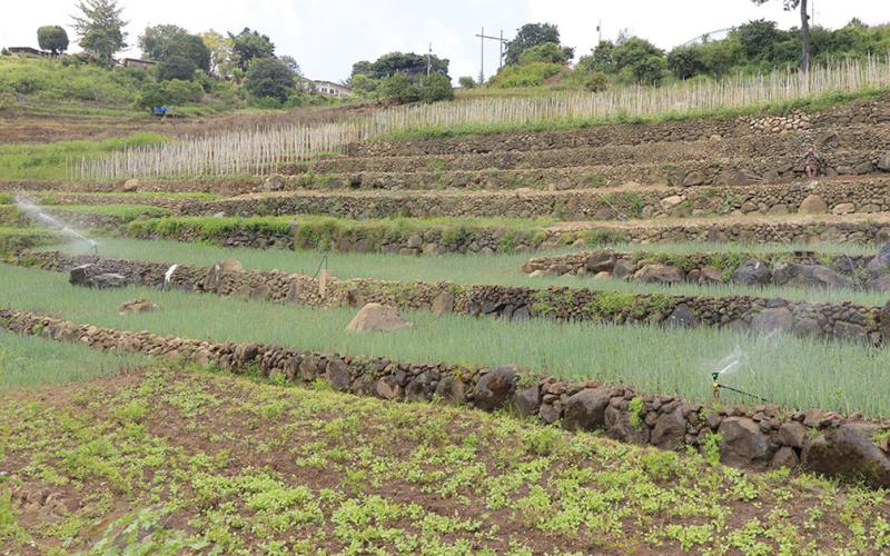 Estas son técnicas que permiten el cuidado del suelo