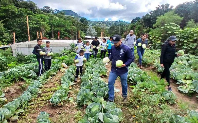 Estudiantes de la Telesecundaria El Tabacal celebran su primera cosecha