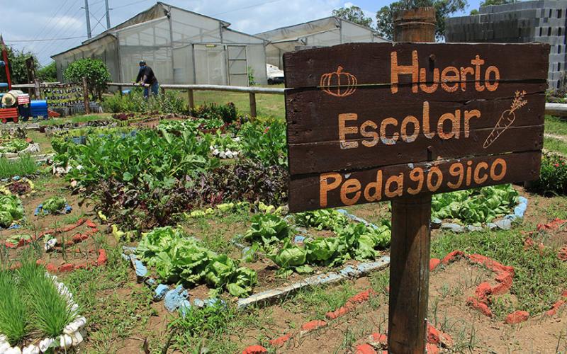 Huertos Escolares