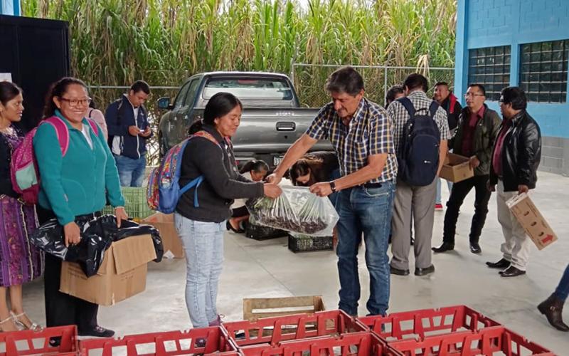 Jornada de capacitación y entrega de hortalizas para implementar huertos