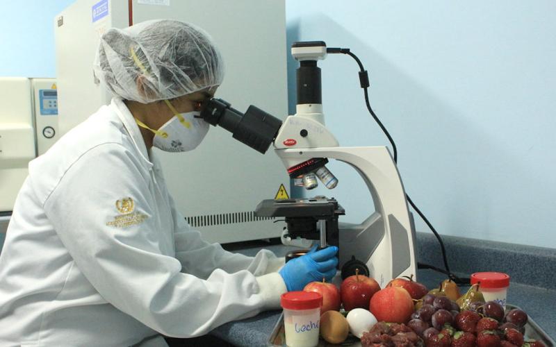 La inocuidad de los alimentos es garantía para la salud