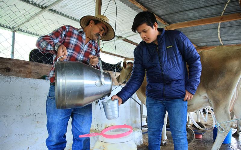 La leche es un alimento fuente de calcio