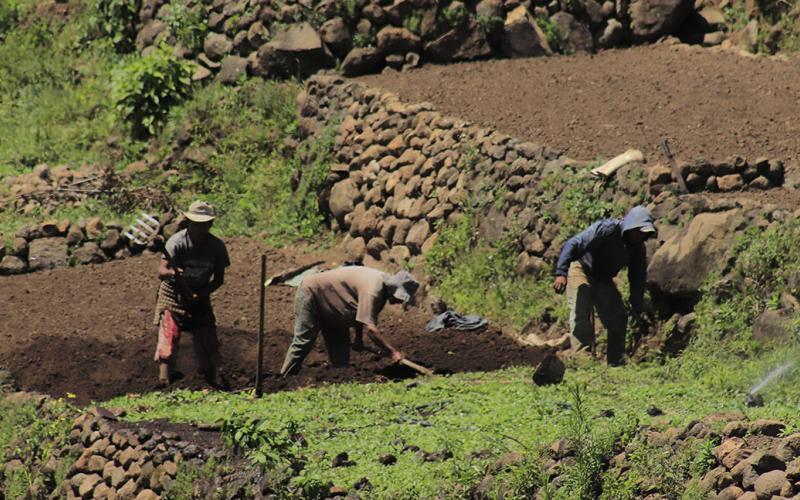 La conservación de suelos