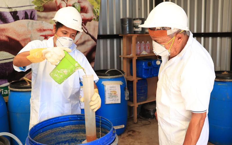 Los biofertilizantes una alternativa natural