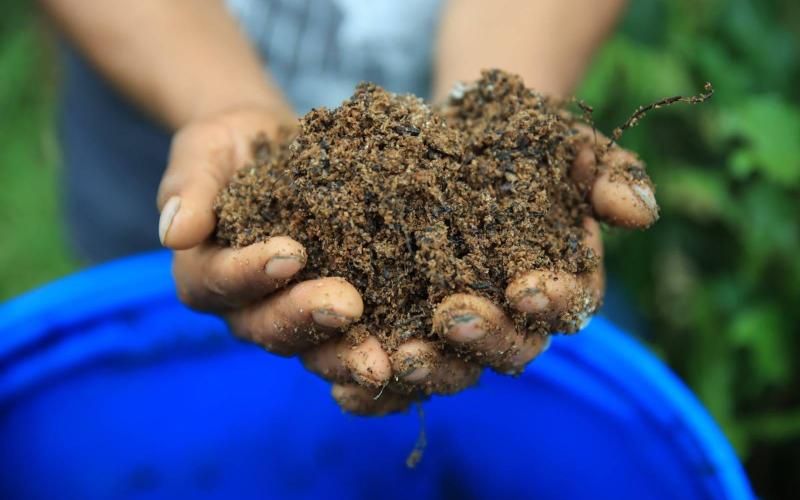 Organismos de montaña