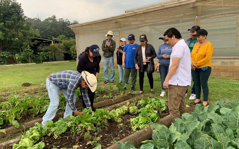Personas con discapacidad auditiva aprenden procesos agrícolas y pecuarios