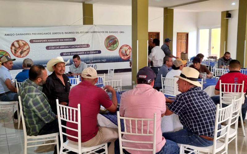 Prevención en acción: instrucciones son claves para evitar el ingreso del gusano barrenador 