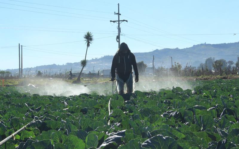 Prevenga sus cultivos de las bajas temperaturas