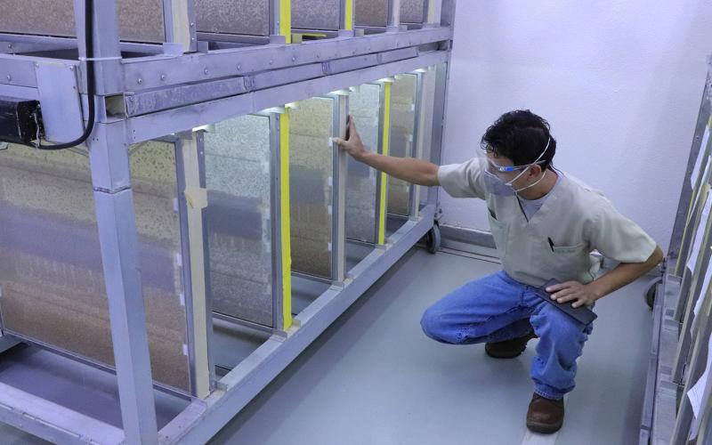 Protección contra mosca del mediterráneo