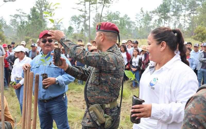 Realizan jornada de reforestación en Poptún