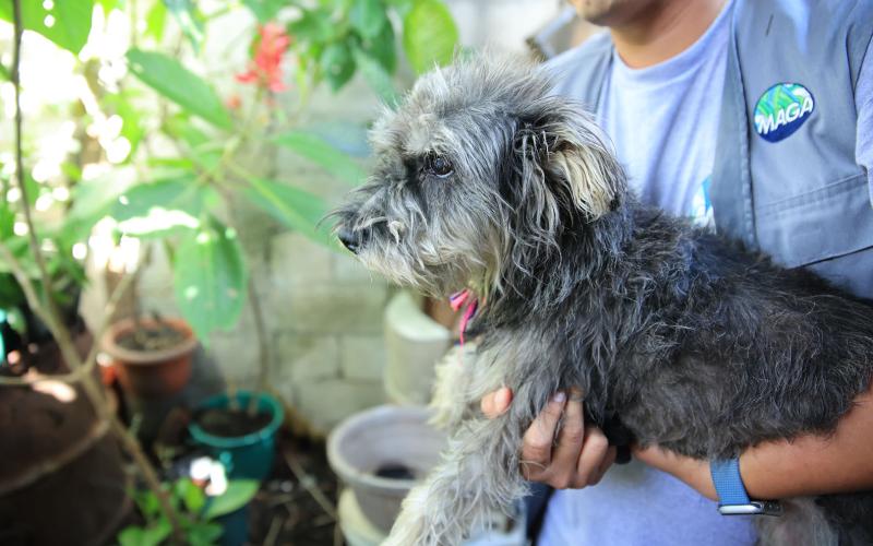 Rescate por maltrato