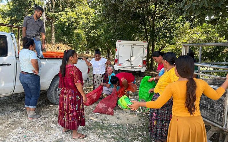 Se entregaron aves mejoradas en Petén