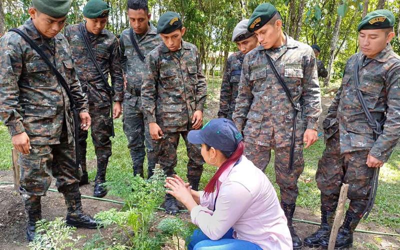 Soldados capacitados en manejo de hortalizas