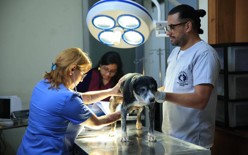 Unidad de Bienestar Animal