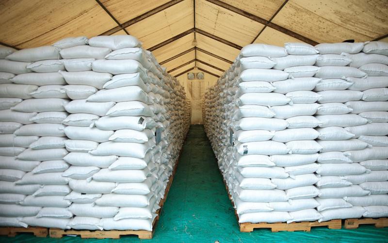 Verifican avances de trabajos en bodegas de INDECA en Tactic