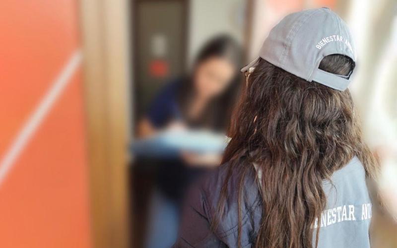 Caso del perro Terry: se desarrolla investigación para determinar sanciones