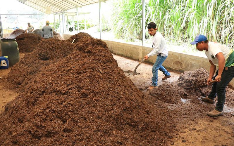 Agricultura generativa para mejorar los suelos