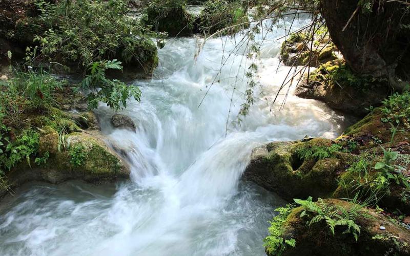Aprenda acerca de las cuencas hidrográficas