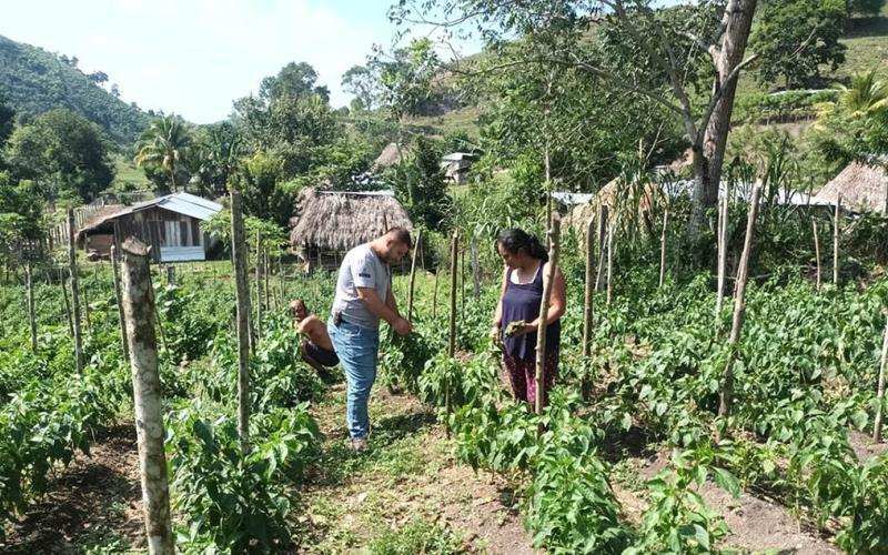 Brindan apoyo técnico en la Zona de Adyacencia