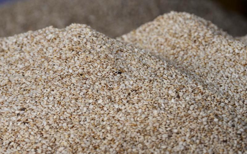 ¿Conozca qué son las legumbres?