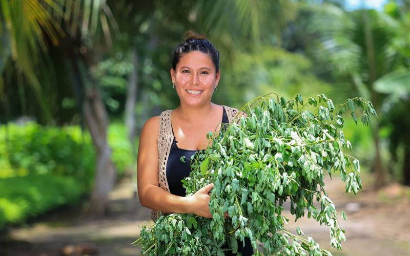El chipilín es una fuente de vitaminas y hierro