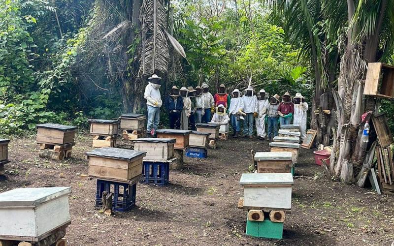 Entregan colmenas a apicultores de Sayaxché