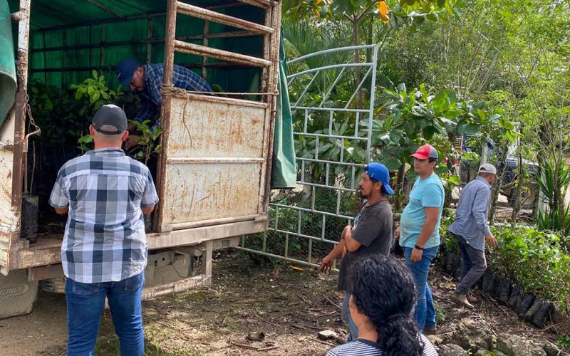 Entregan parcelas demostrativas de rambután en Poptún