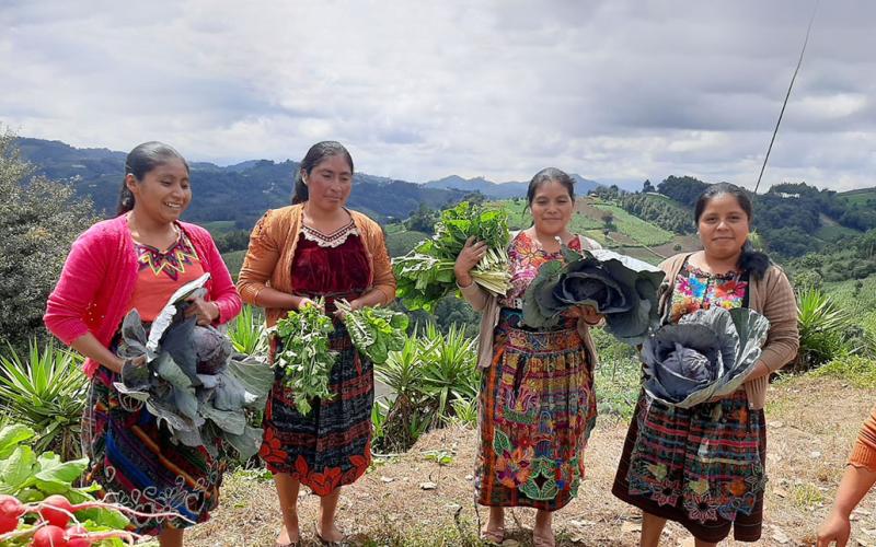 Estudiantes de Chimaltenango recolectan primera cosecha de hortalizas