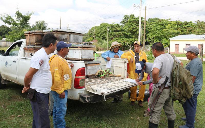 Fortalecen la apicultura en Melchor de Mencos