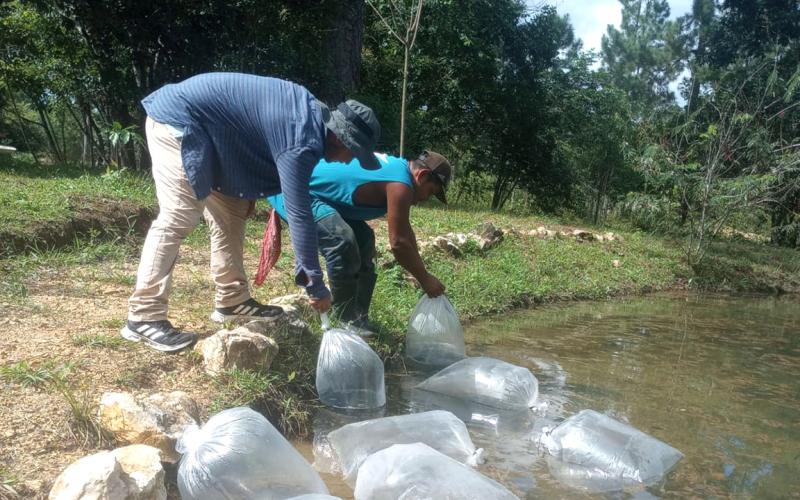 Fortaleciendo la seguridad alimentaria y el desarrollo comunitario en Petén