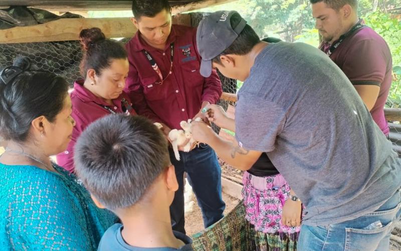 Fortalecimiento a la Producción Avícola de Petén