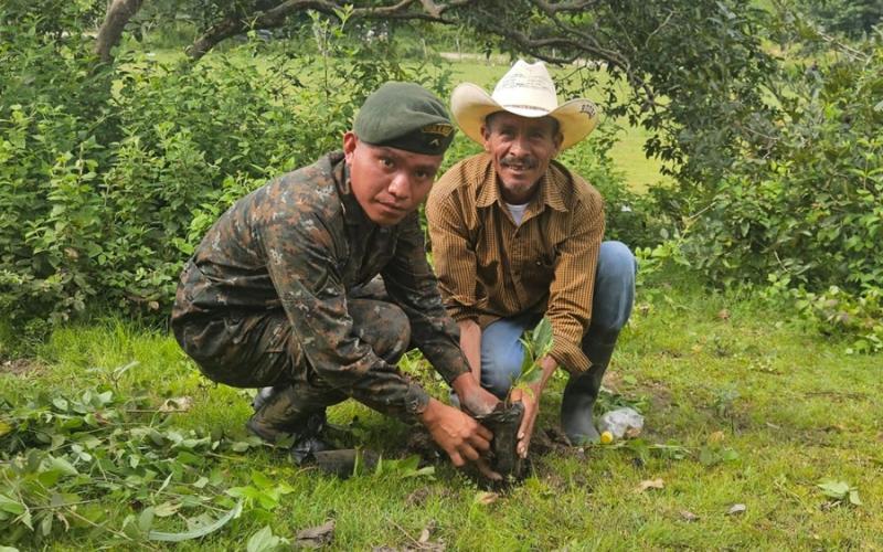 Ejército de Guatemala rebasa la meta de reforestación propuesta para el 2024.