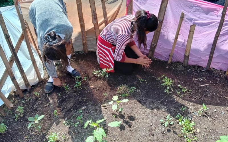 MAGA brinda asistencia técnica en Suchitepéquez