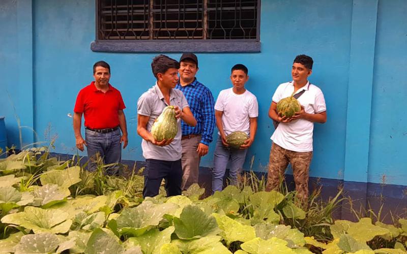 Monitorean y levantan cosechas de huertos escolares