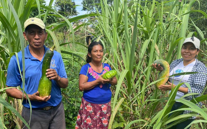 Ofrecen jornada de asistencia técnica para Huertos Familiares en Poptún