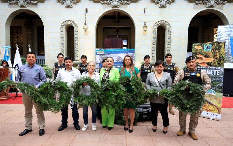 Lanzamiento de la Campaña