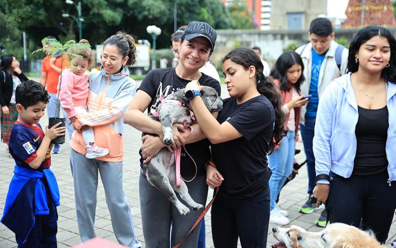 Realizan actividades para crear conciencia acerca de la resistencia a los antimicrobianos