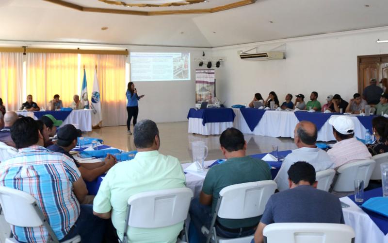 Refuerzan capacidades de personal operativo por Gusano Barrenador del Ganado